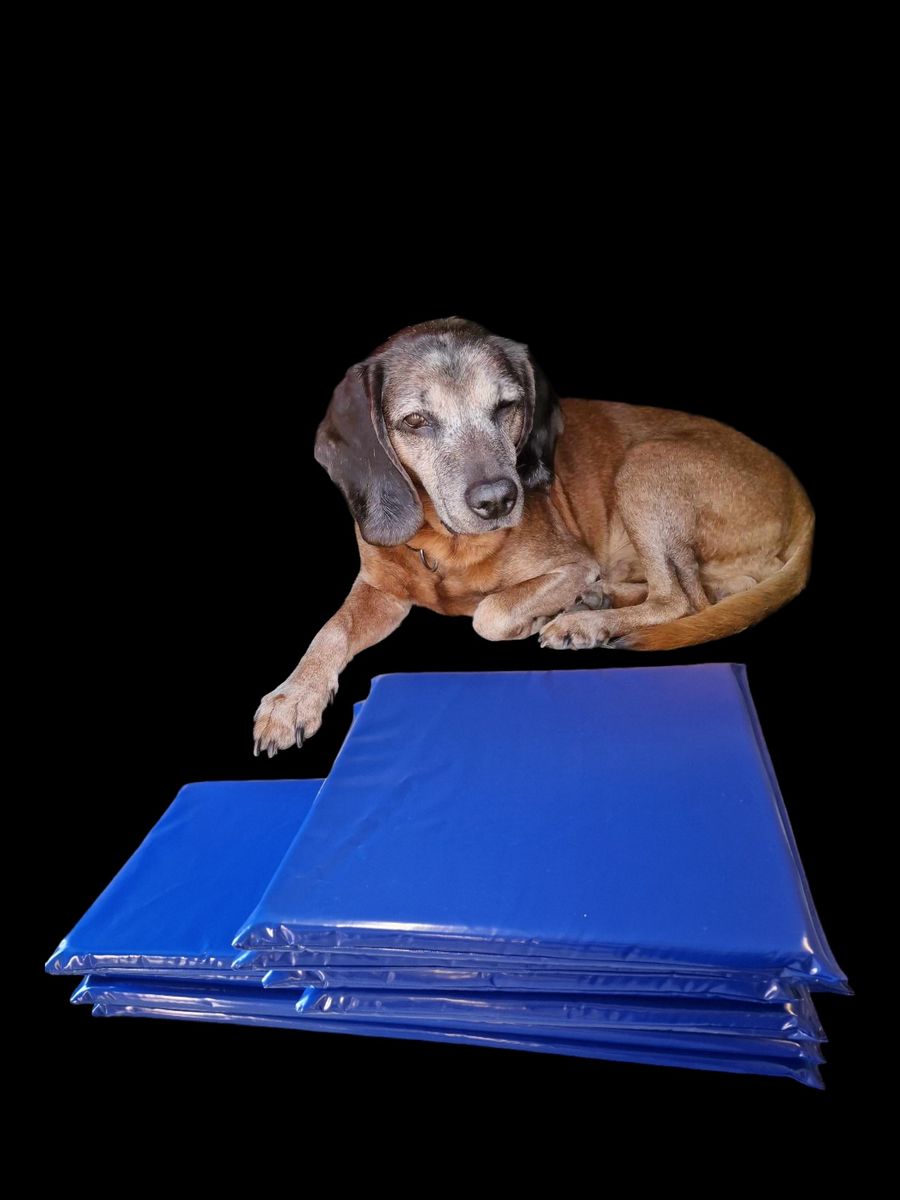 Hundematte 80x50x5
