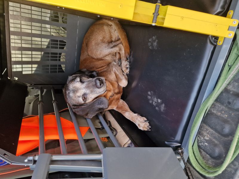 Hundematte 73.2 x 116.2