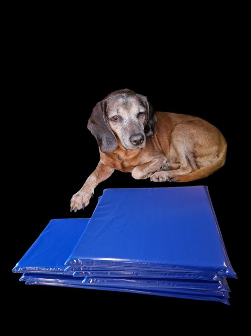 Hovedbilde Hundematte 80x50x5 